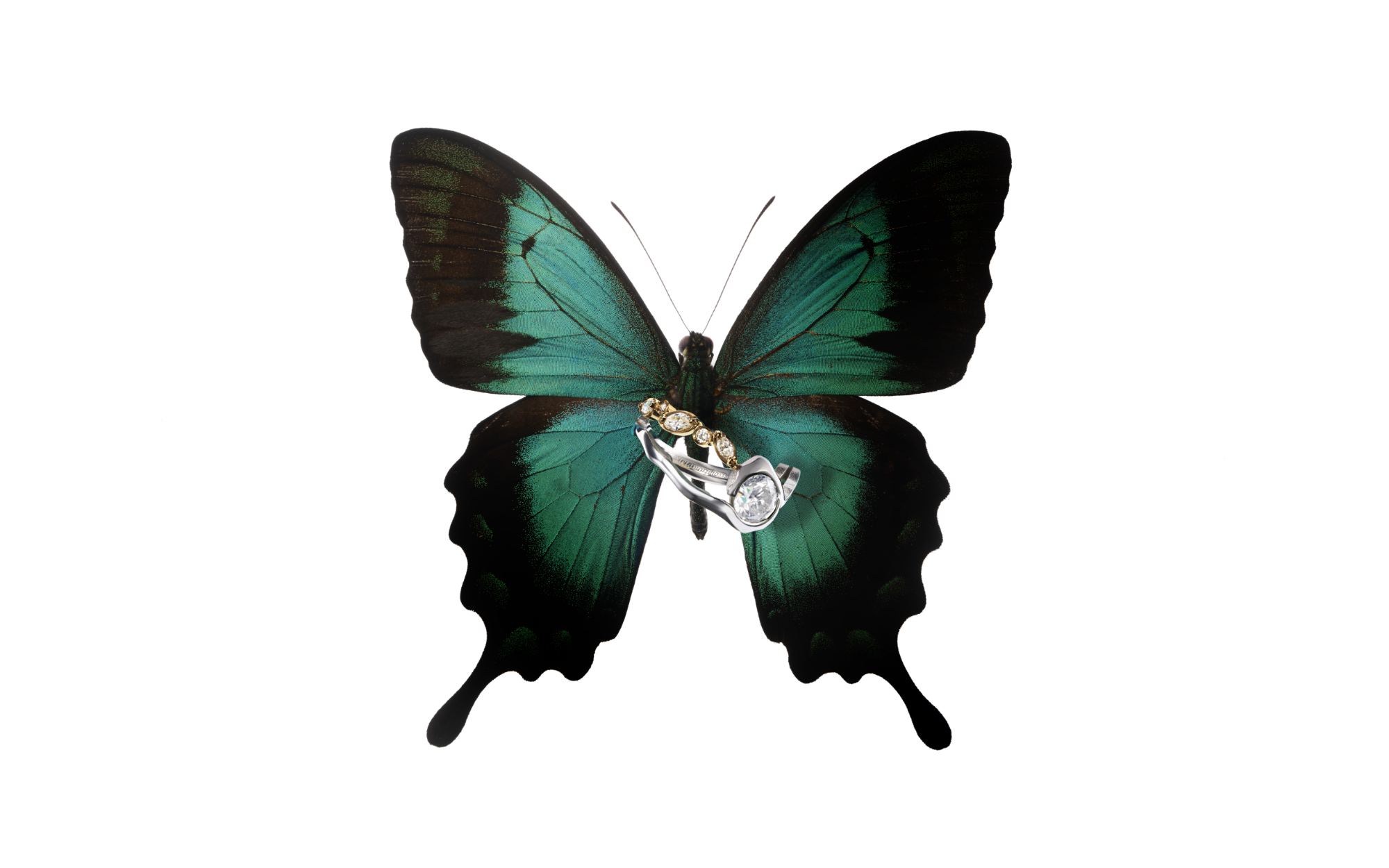 Re:KINTSUGI ジュエリー作品例